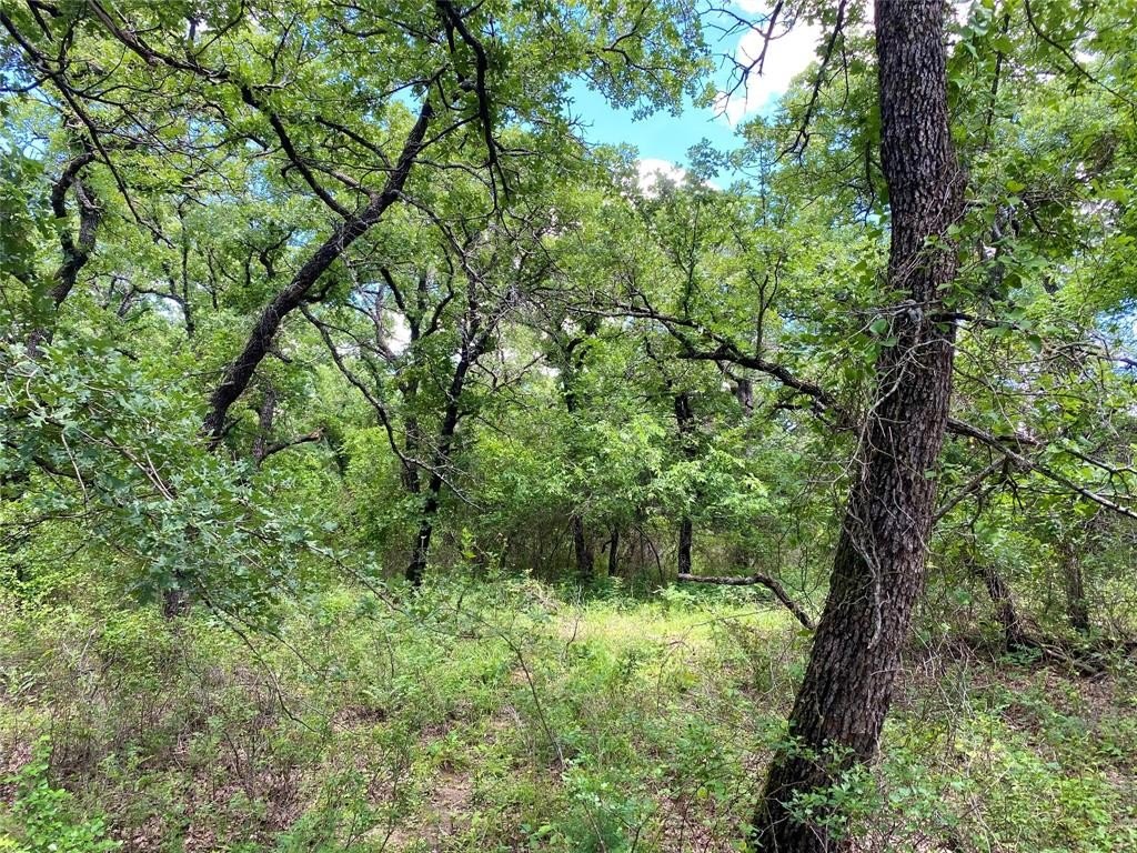 Other - 106 Hondo Drive, Nocona, TX
