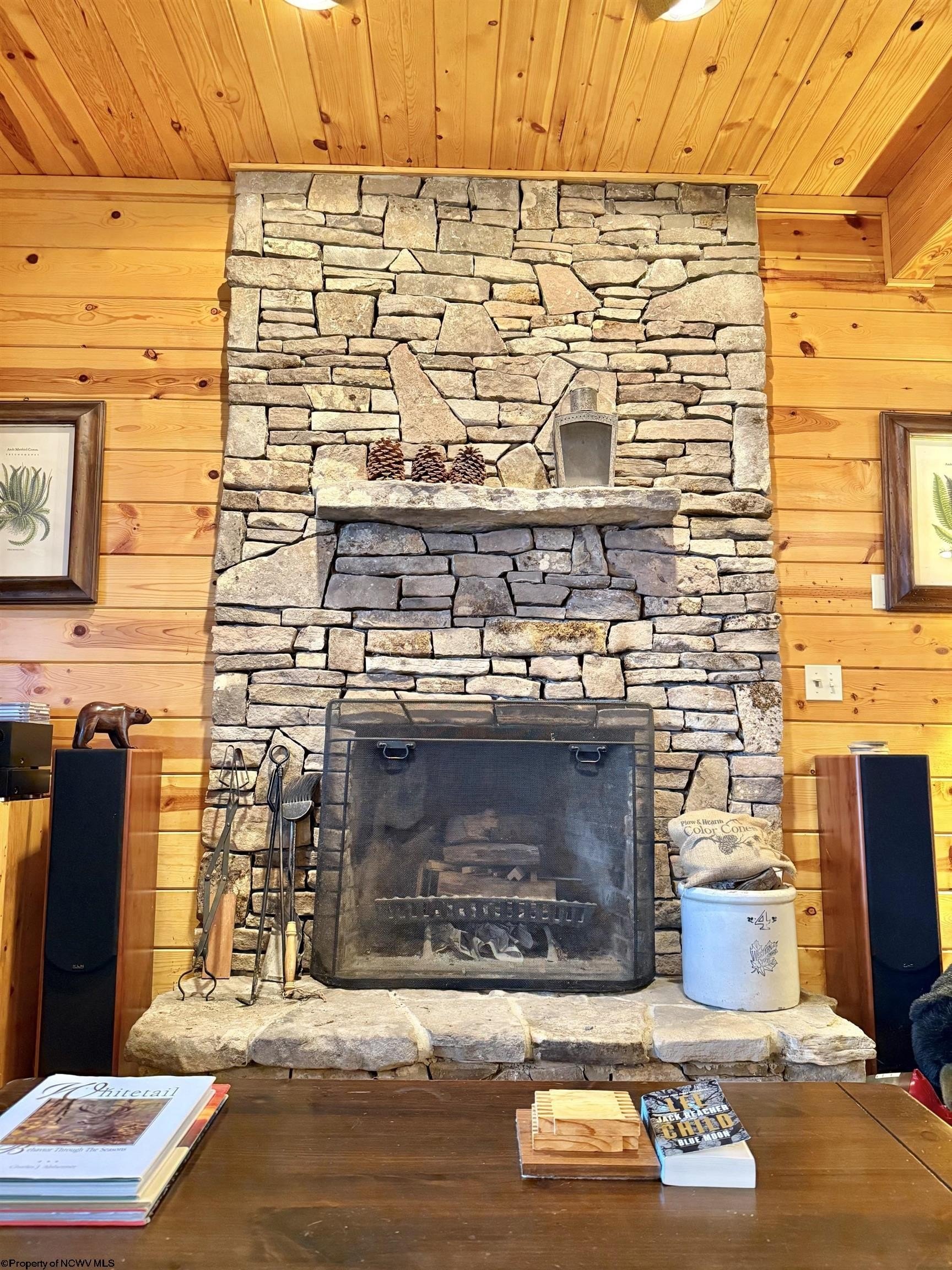 Single Family 3BR 2BA - 155 Meadows Road East, Harman, WV