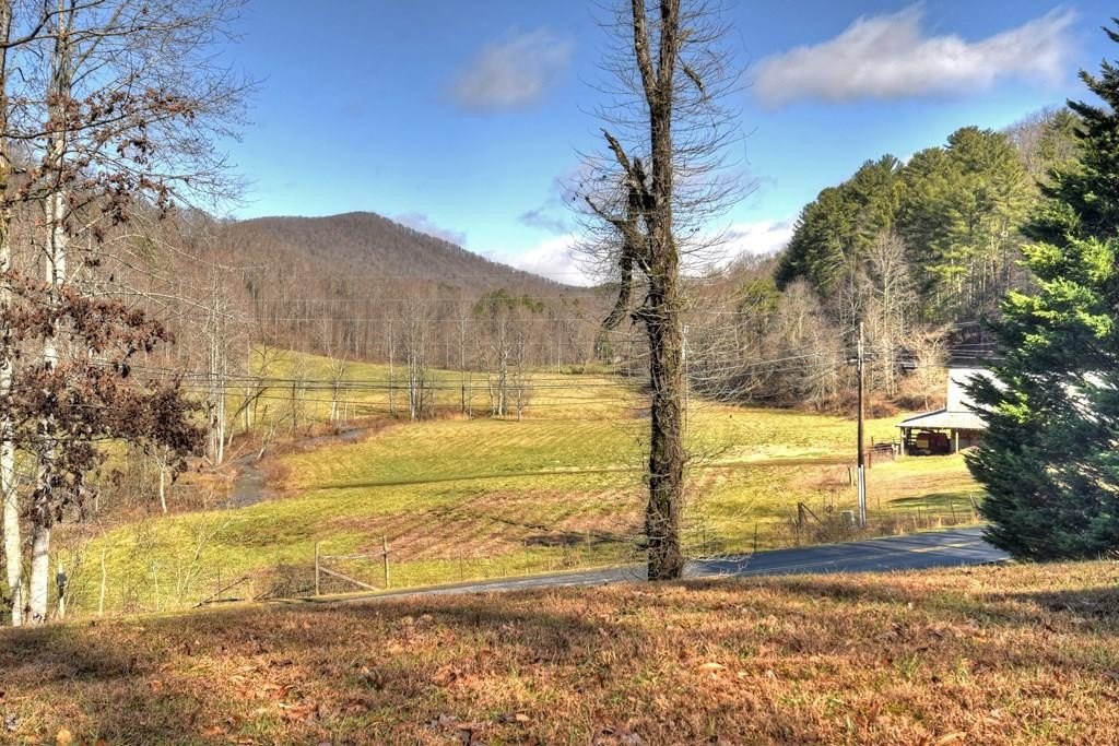 Other 3BR 2BA - 10266 Boardtown Road, Cherry Log, GA
