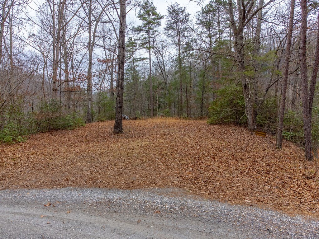 Other - River Valley Estates lot: 3, Whittier, NC