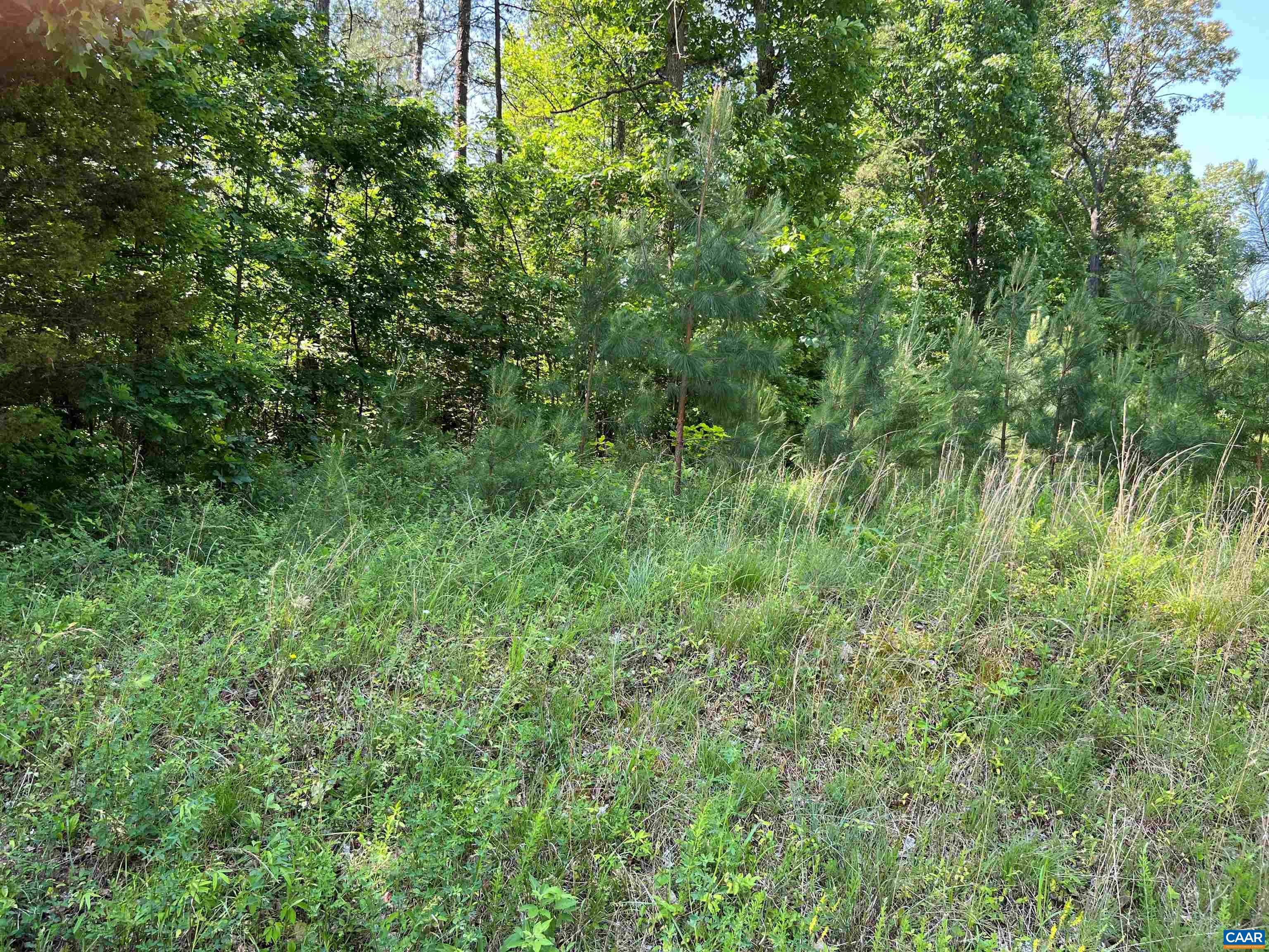 Lot A 6 TYE Riv RD  