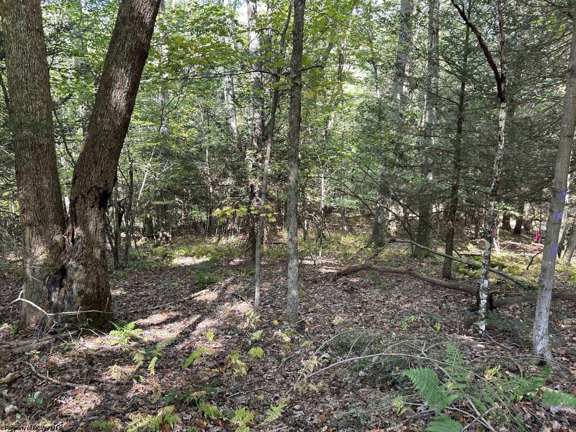 Other - Copper Head Road, Terra Alta, WV