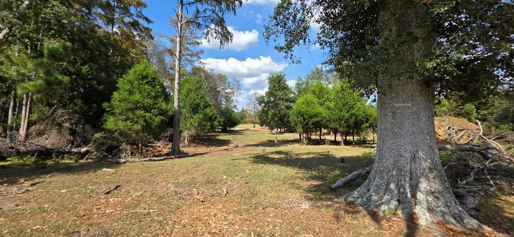 Single Family - 5.8 Acres Nobles Rd   Lot 5, Cottonwood, AL