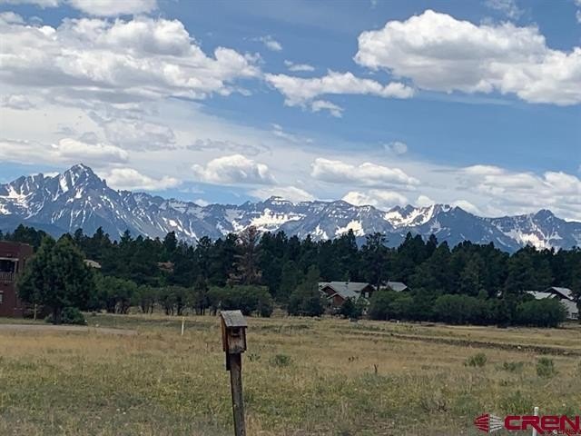 Single Family - 294 Marmot Drive, Ridgway, CO