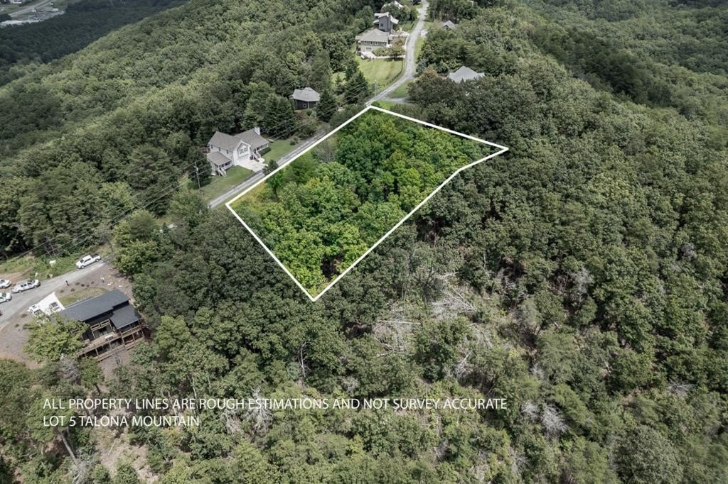 Other - Lot T-5 Talona Mountain Road, Ellijay, GA