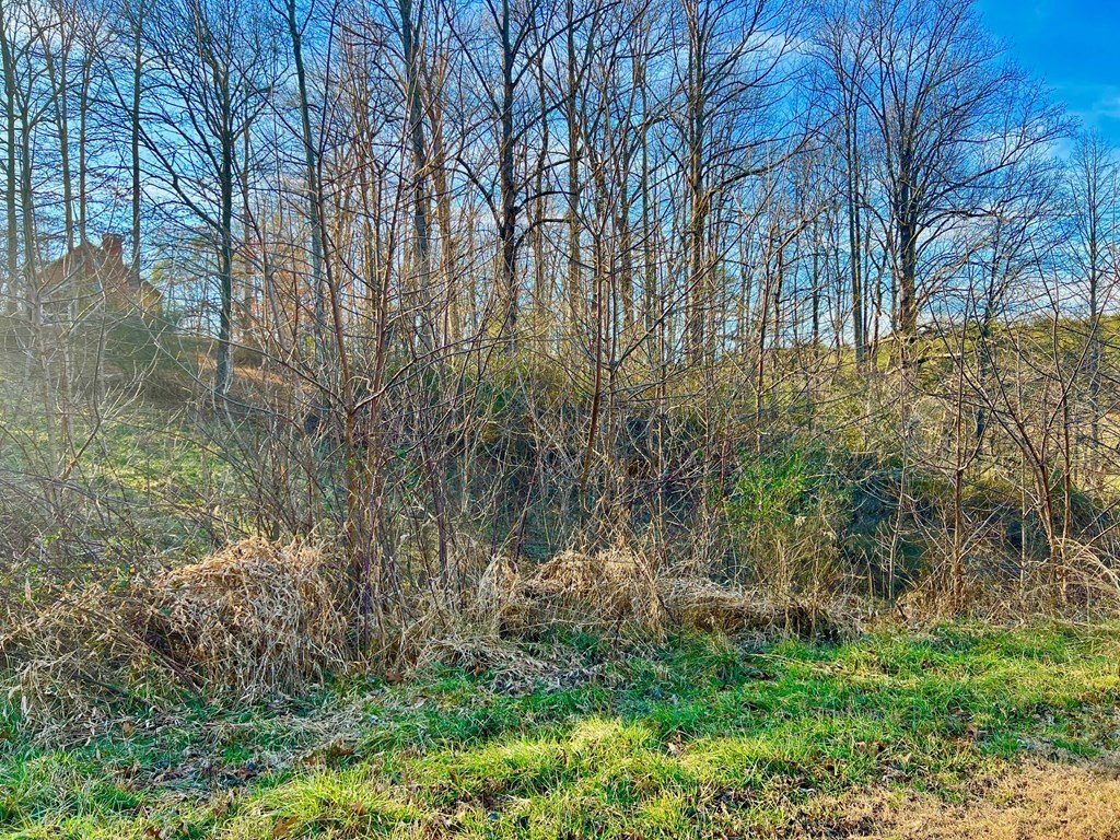 Other - 16 Anns Way, Blairsville, GA