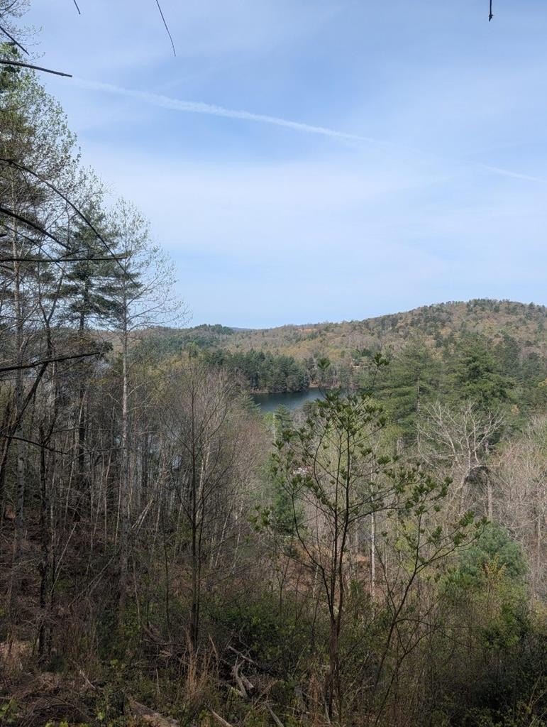 Other - Lt 7A Lake Appalachia Acres Dr, MURPHY, NC