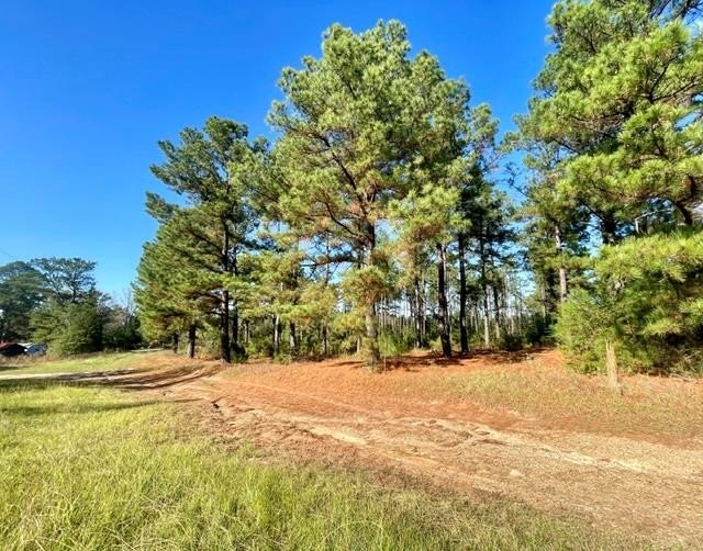 Other - 1407 Miller County 3, Doddridge, AR