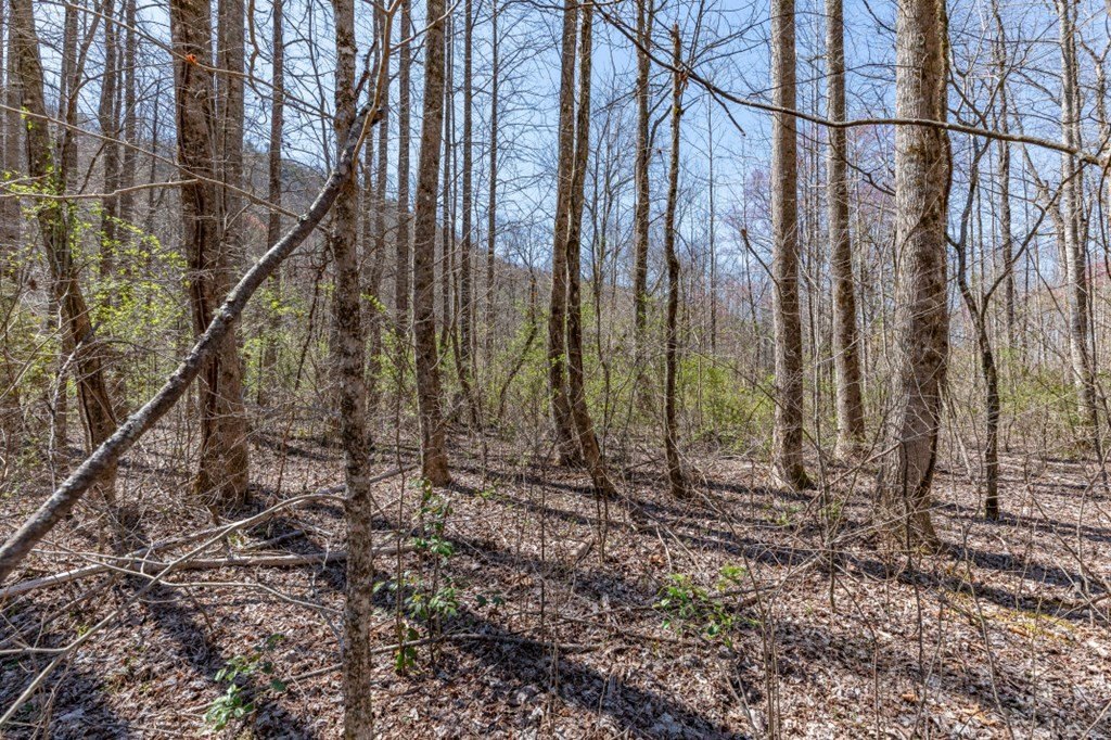 Other - Lots 12+ Tusquittee Crossing, Hayesville, NC
