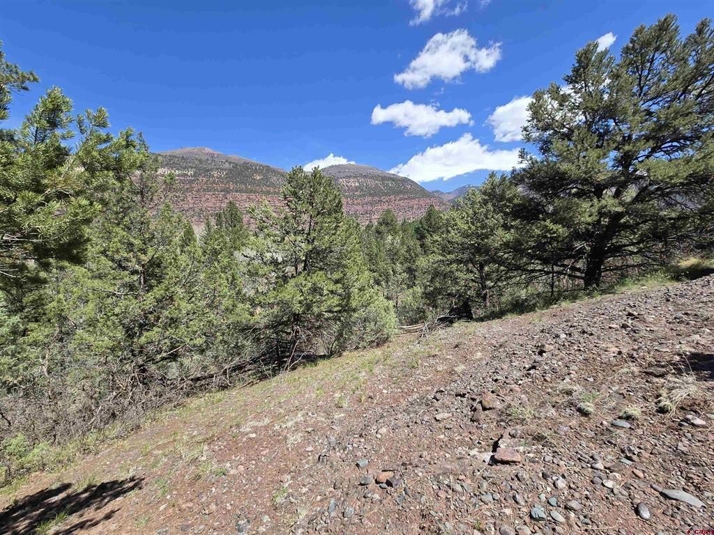 Other - 238 Pine Ridge Drive, Ridgway, CO