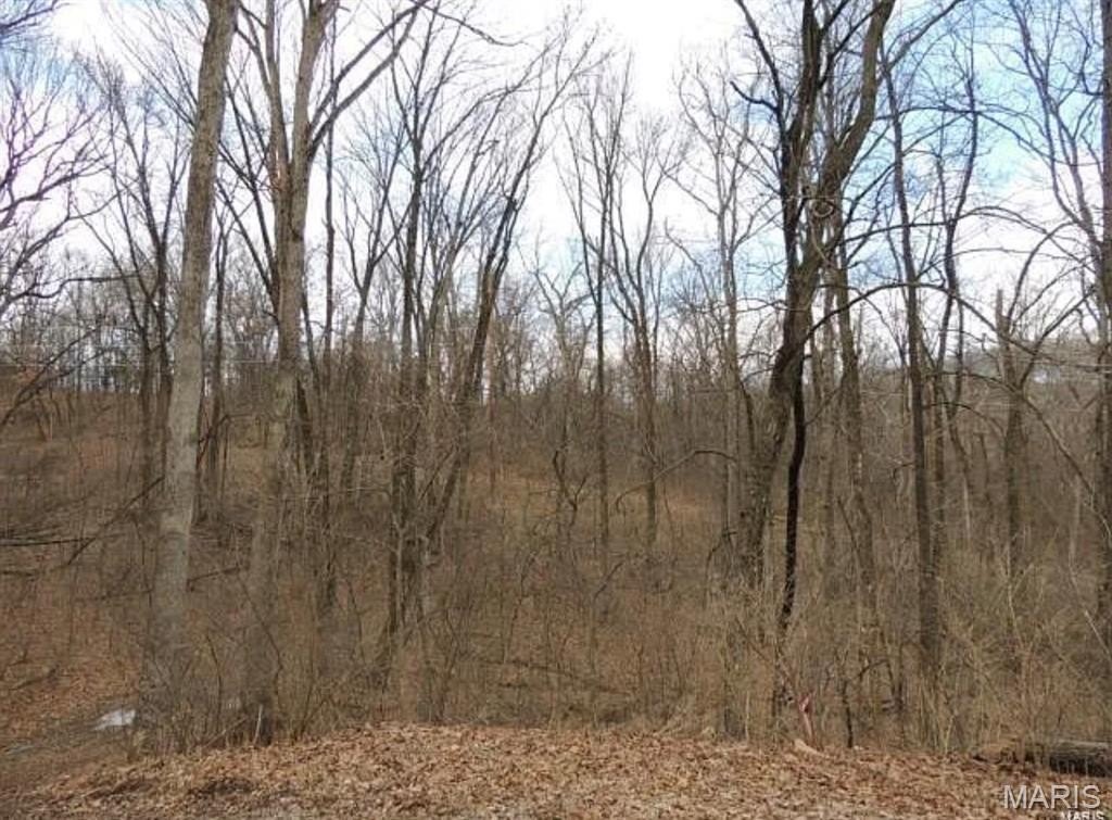 Other - 1001 Chesterfield Forest Drive, Wildwood, MO