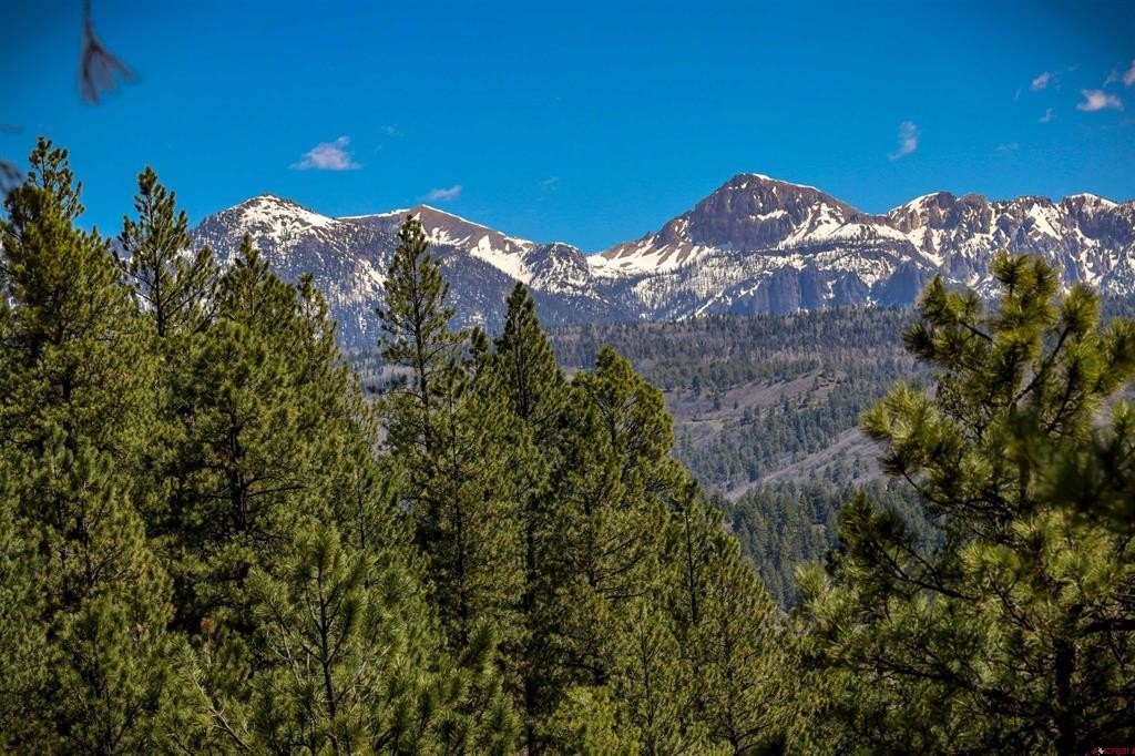 Single Family 2BR 2BA - 460 Appaloosa Circle, Pagosa Springs, CO