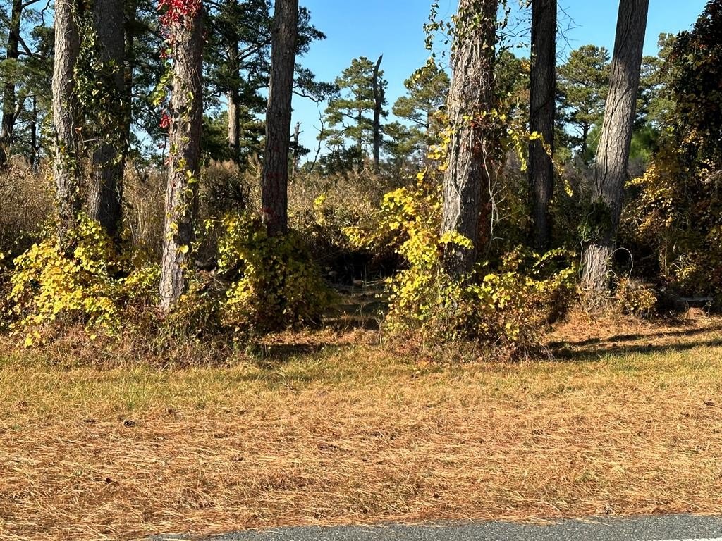 Other - 244A2 RIDGE RD, CHINCOTEAGUE, VA