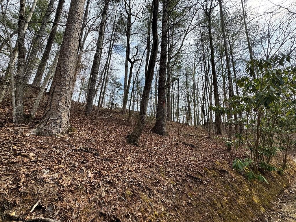 Other - Fontana Forest lot: 21, Almond, NC