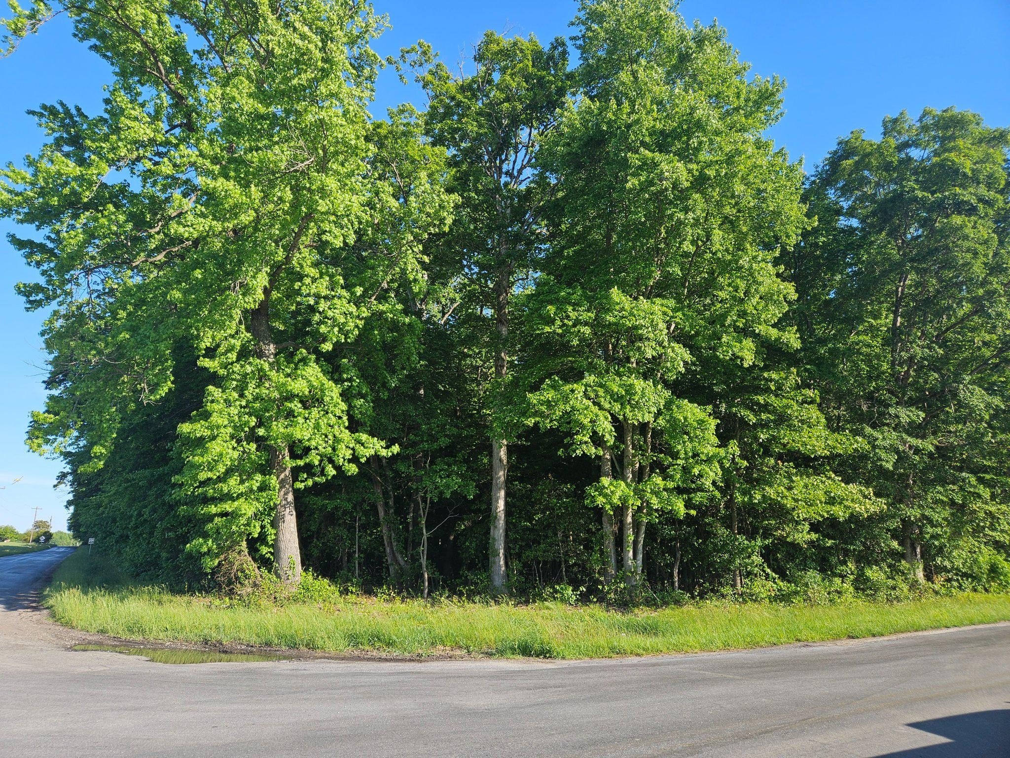 Plots and Land - LOT 1 E SUNSET AVE, GREENSBORO, MD