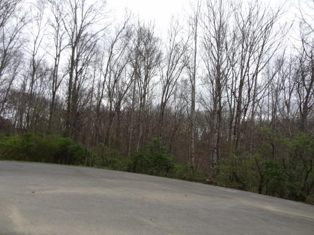 Other - Eugene Court, Crossville, TN