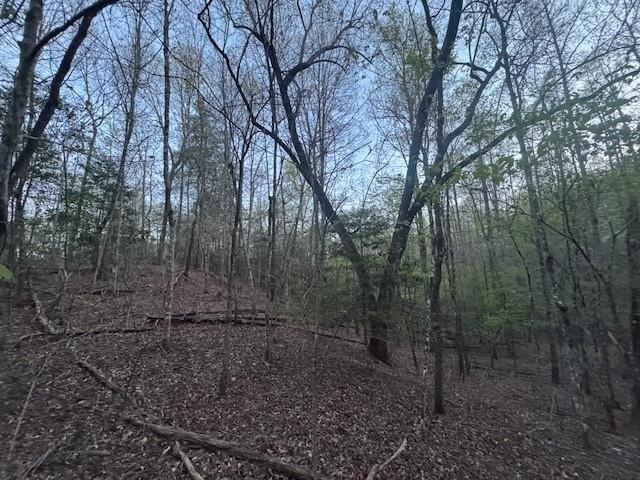 Other - Lot 5 Riverbend Manor, Blue Ridge, GA