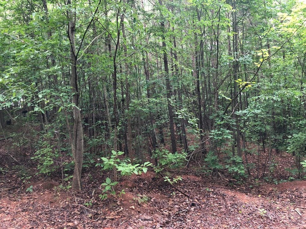 Single Family - 101 Overlook Dr, Greenwood, SC