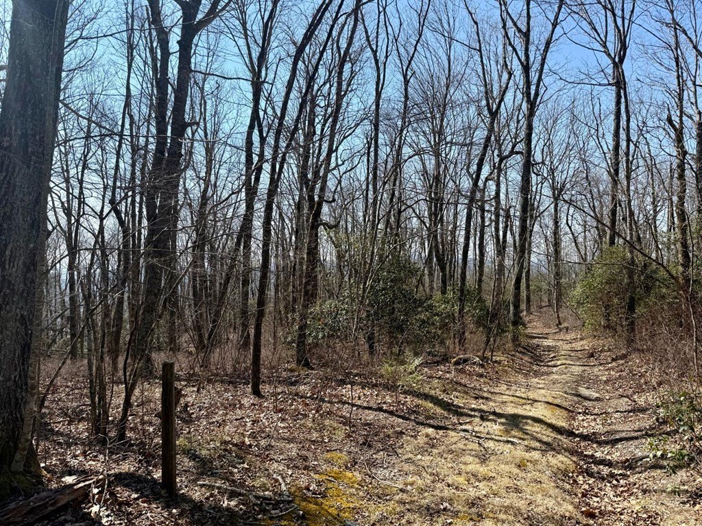 Other - 24 Cloudview Pt lot: 24, Sapphire, NC