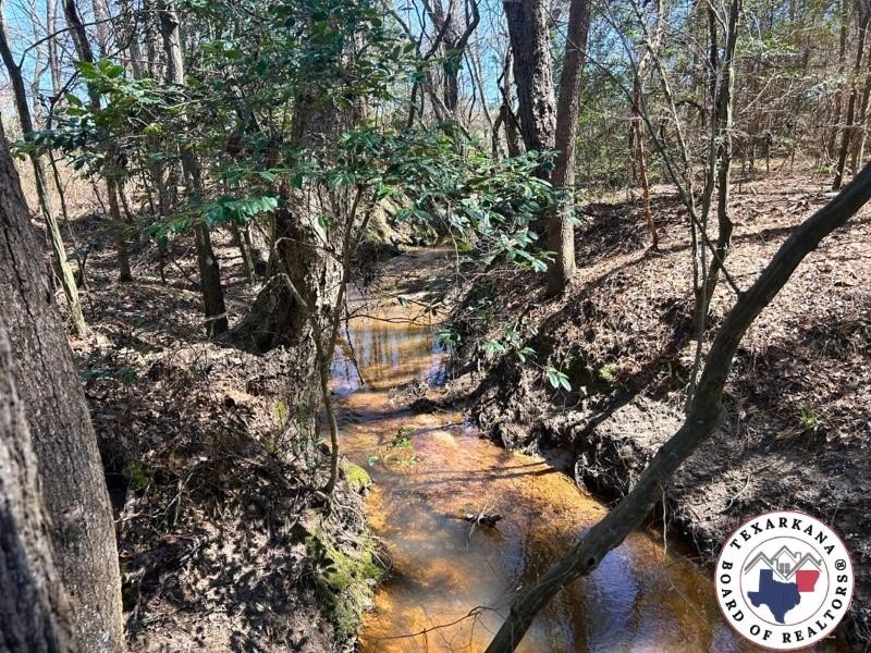 Other - 42.24 ac CR 1456, Linden, TX