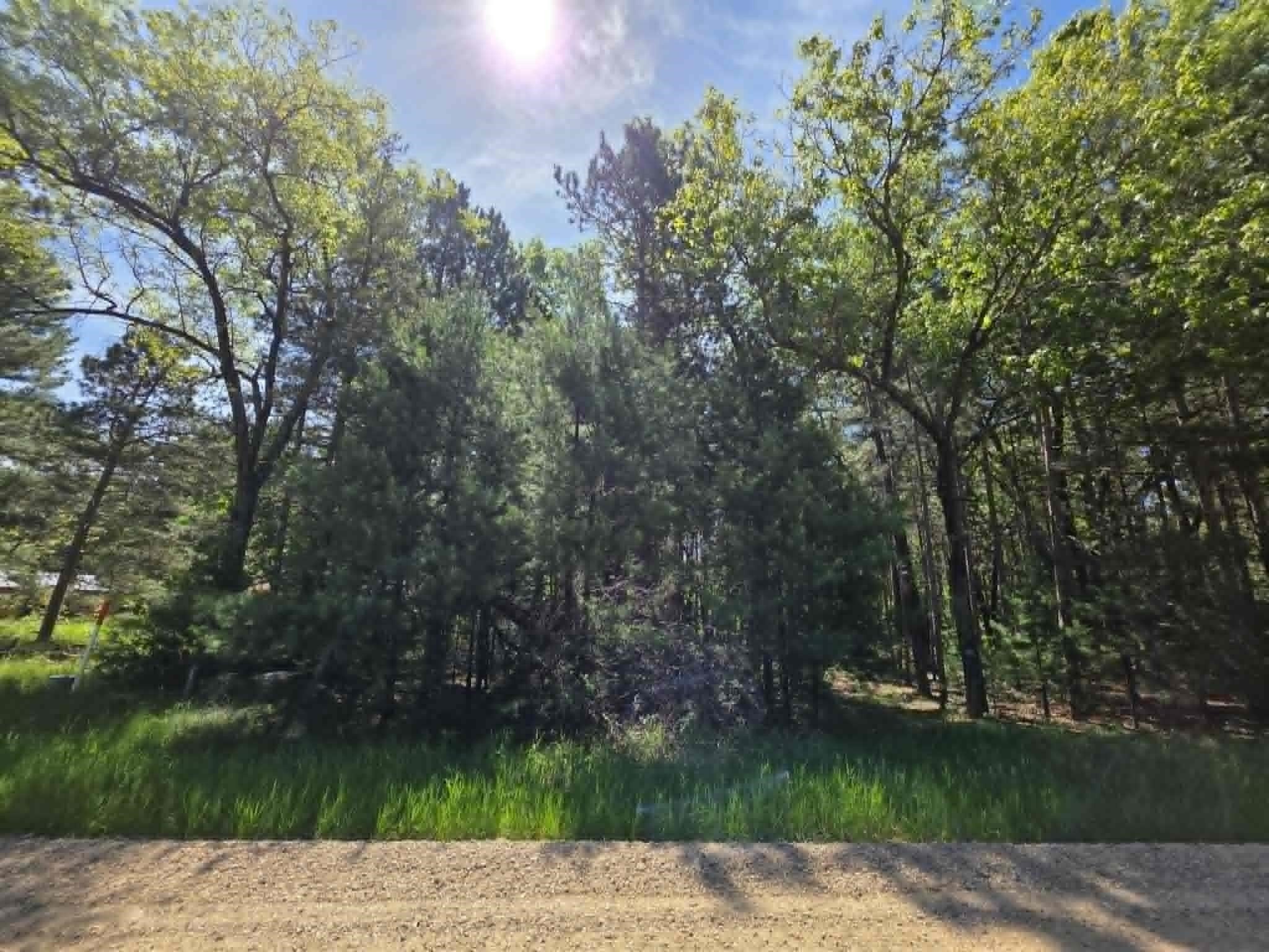 Other - Czech Court lot: 4, Friendship, WI