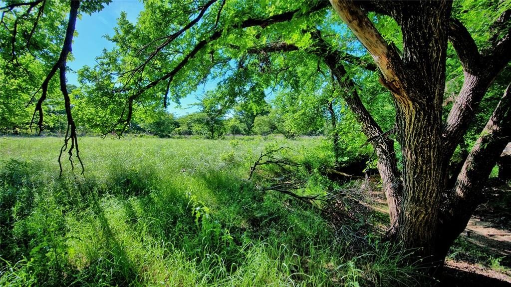 Other - Carpenter, Nocona, TX