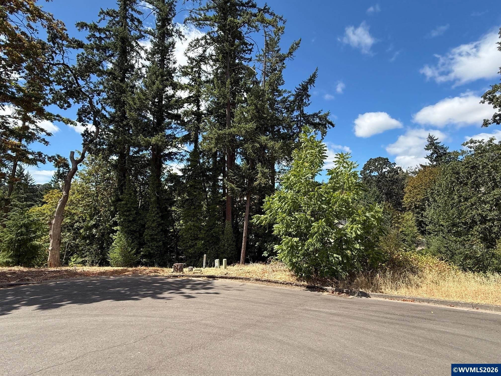Other - 621 Timber View Lot 11 St NW, Salem, OR