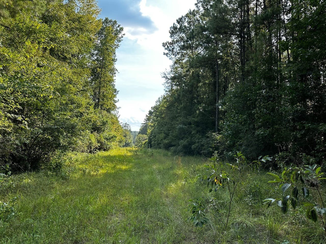 Other - Benndale Road, Wiggins, MS