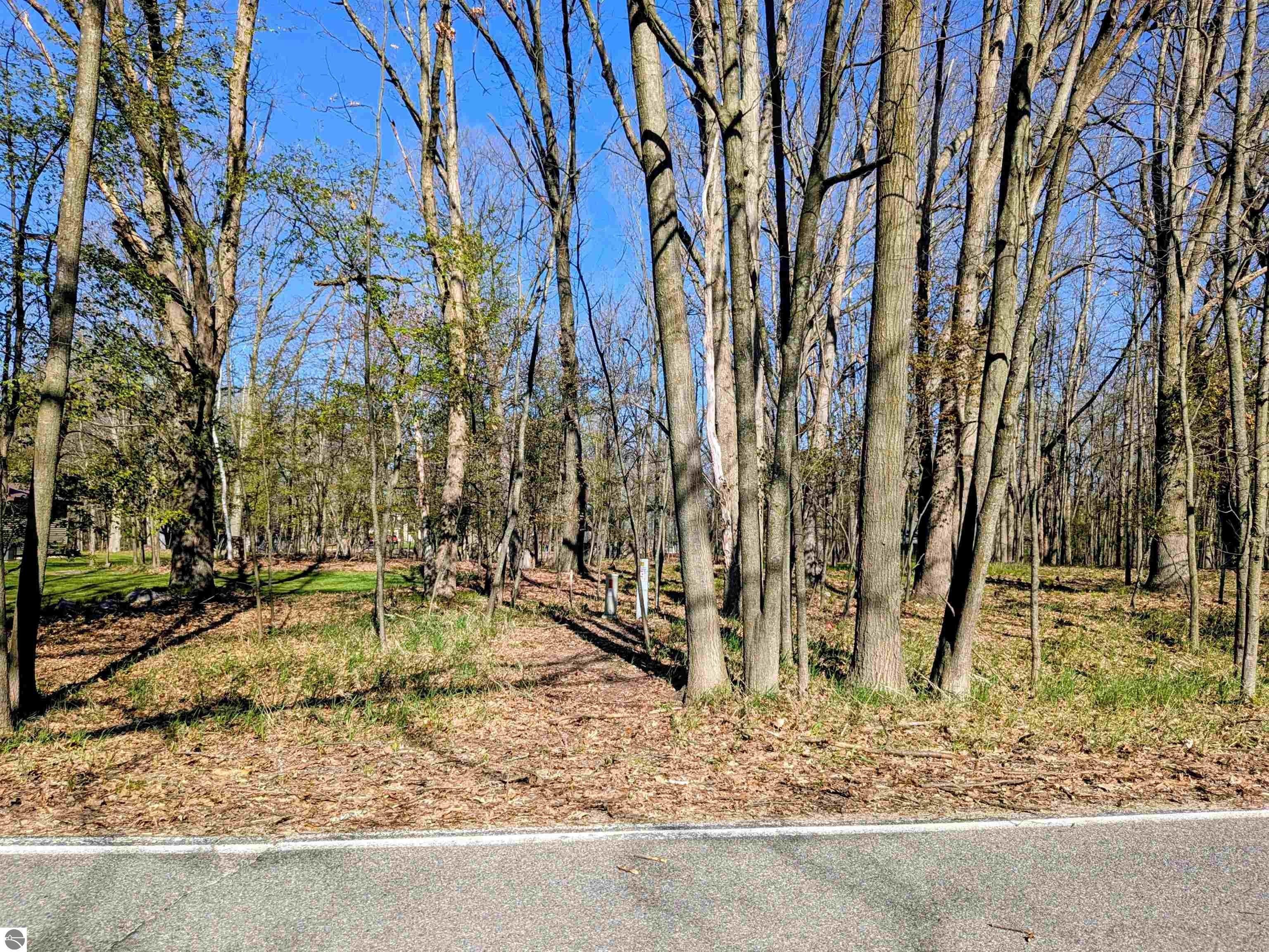 Other - 1050 Bundy Drive lot: 368, Lake Isabella, MI