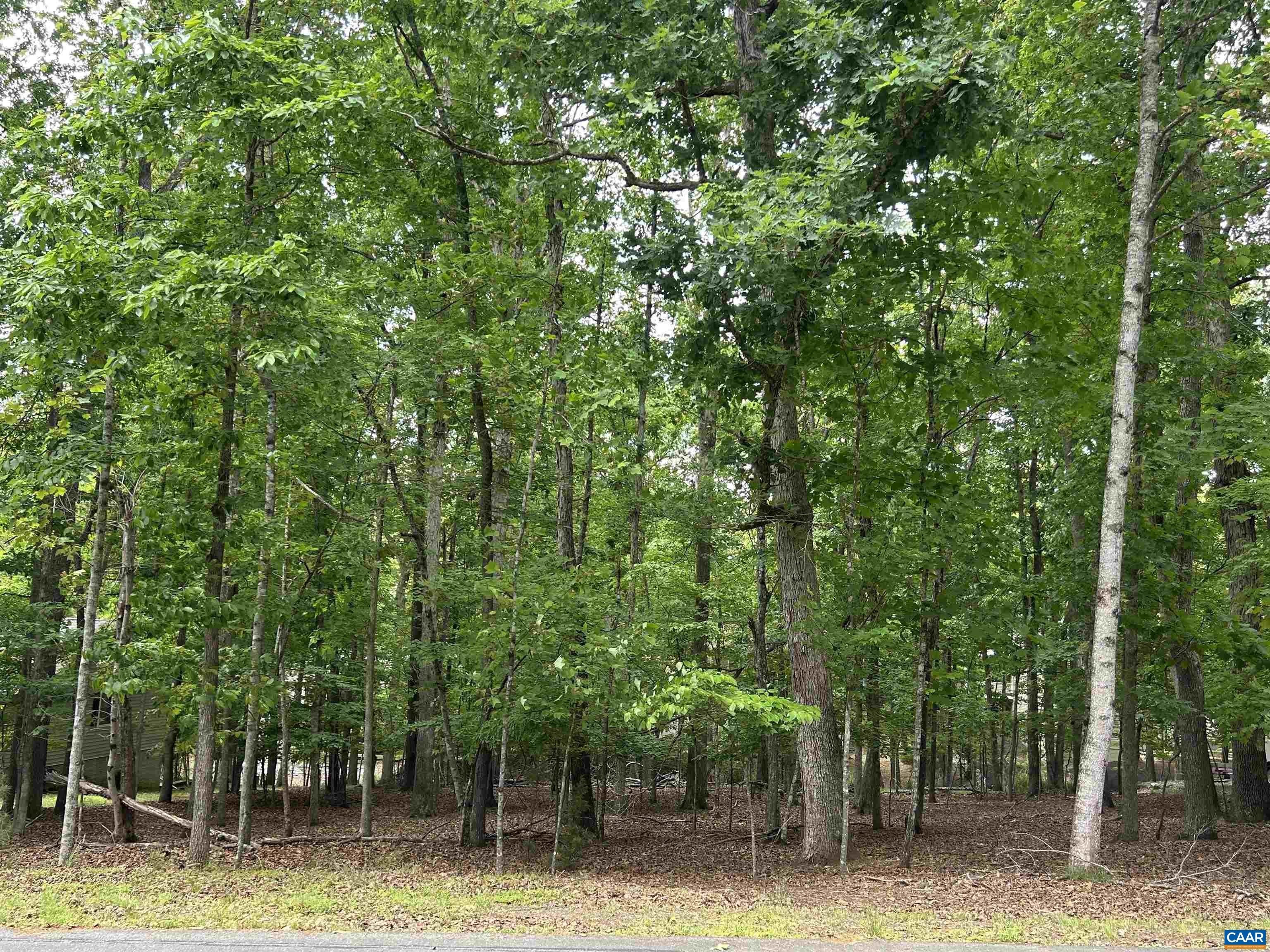 Single Family - 25 LAGUNA RD, PALMYRA, VA