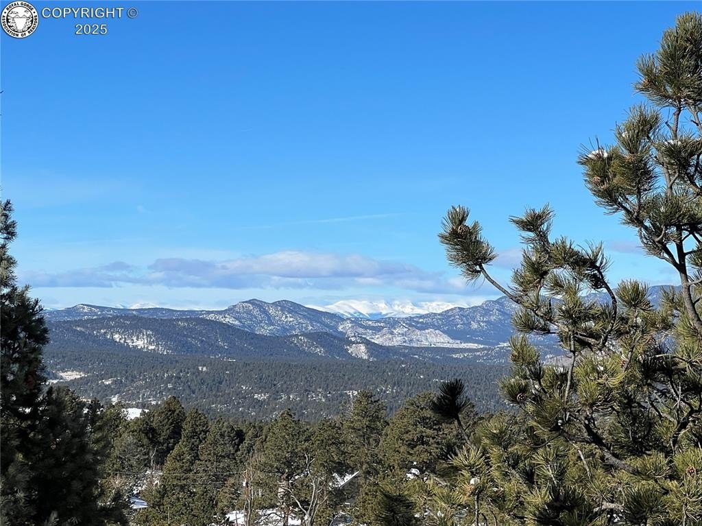 Other - 2369 Mountain Estates Road, Florissant, CO