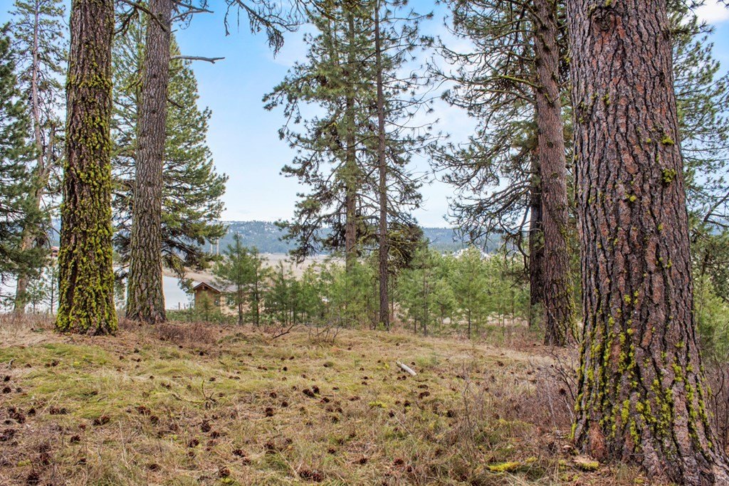 Other - L1 B3 Opal Drive, Cascade, ID
