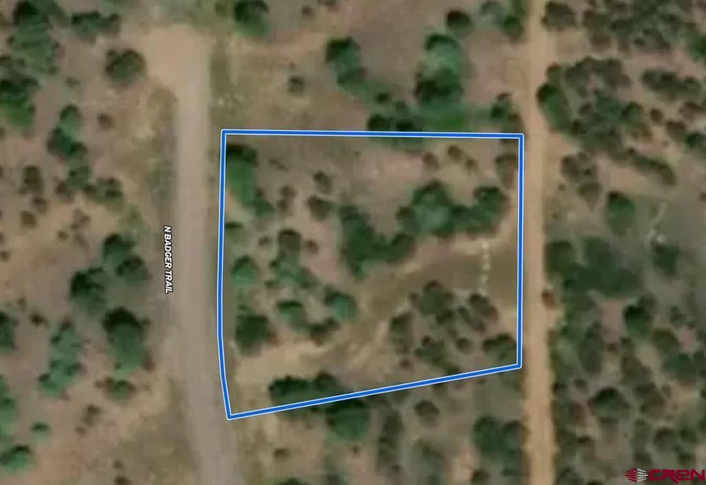 Single Family - TBD (Lot 533) N Badger Trail, Ridgway, CO