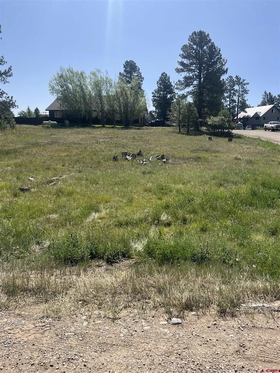 Other - 20 La Costa Court, Pagosa Springs, CO