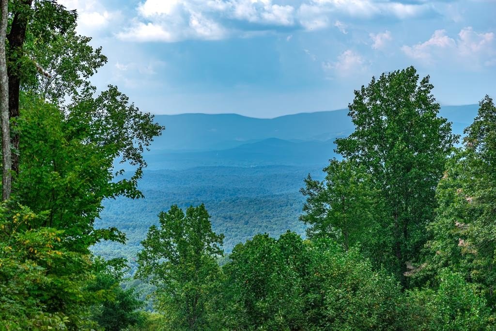 Plots and Land - Lot 219 Stone Cliff Drive, Jasper, GA