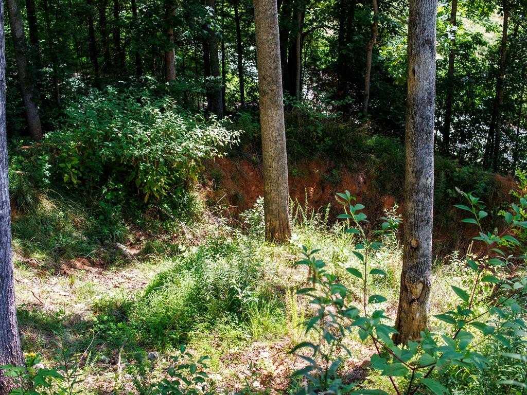 Other - Kimberly Lane lot: 9, Franklin, NC