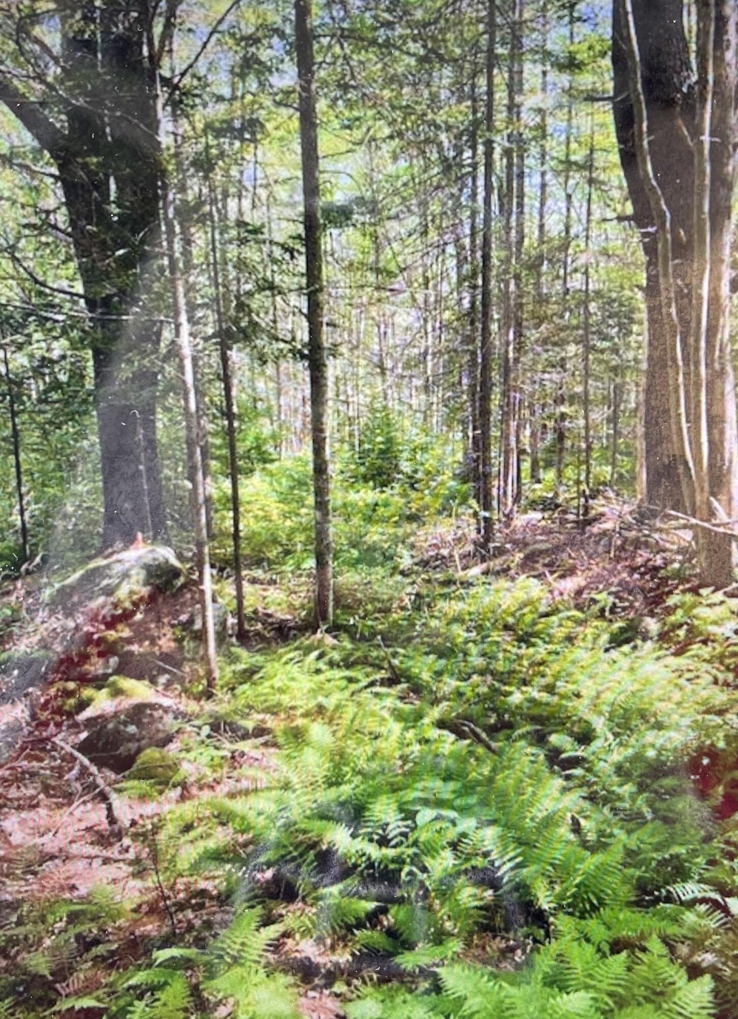 Other - 6 Stonewyck Lane, Damariscotta, ME