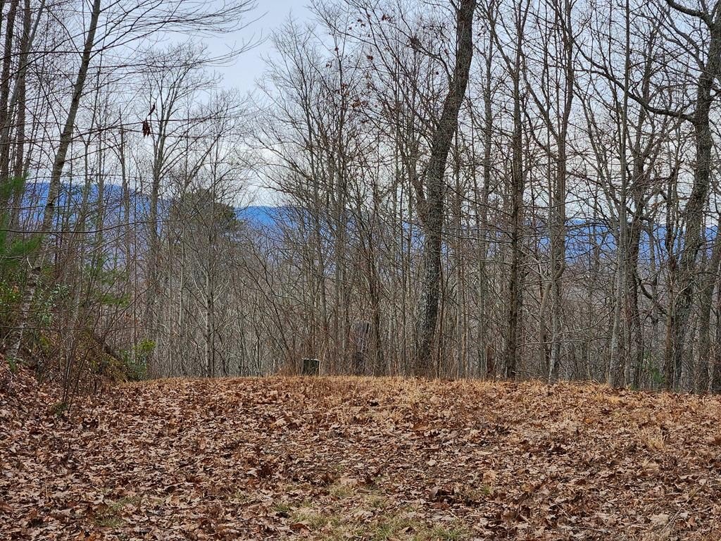 Other - Highlands Pass Trail lot: 23, Franklin, NC