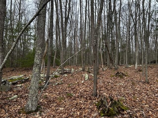Other - 110 MILLSAP PLACE, DANIELS, WV