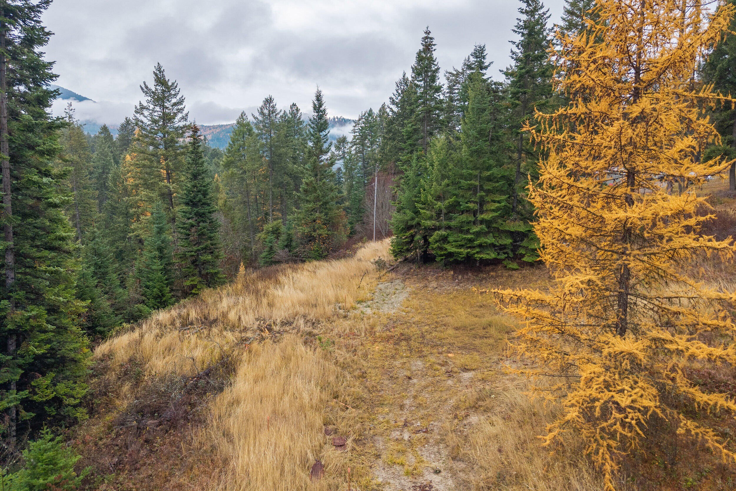Other - 717 B FINLEY GULCH RD, COLVILLE, WA