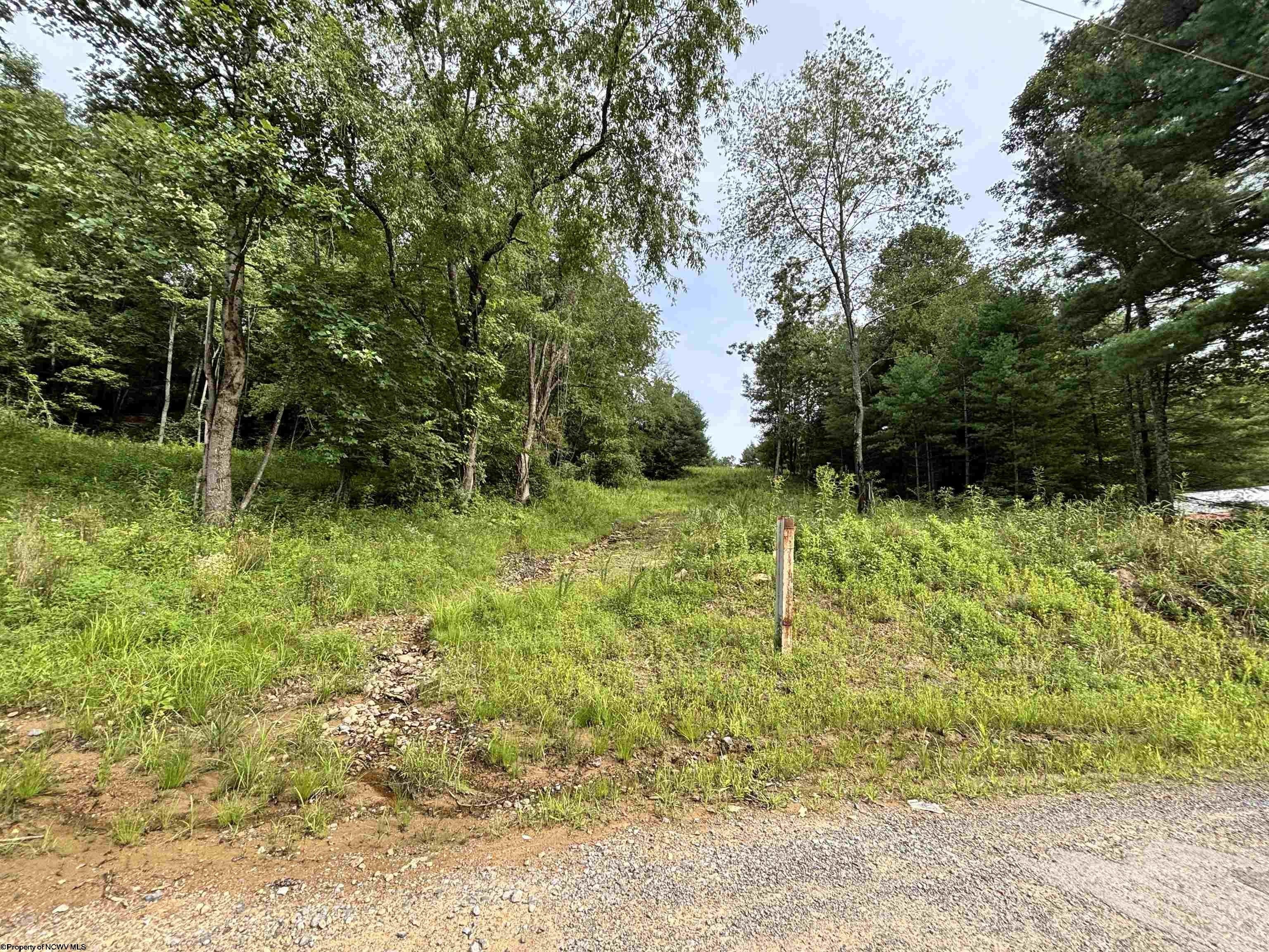 Other - 2843 Marquess Road, Tunnelton, WV