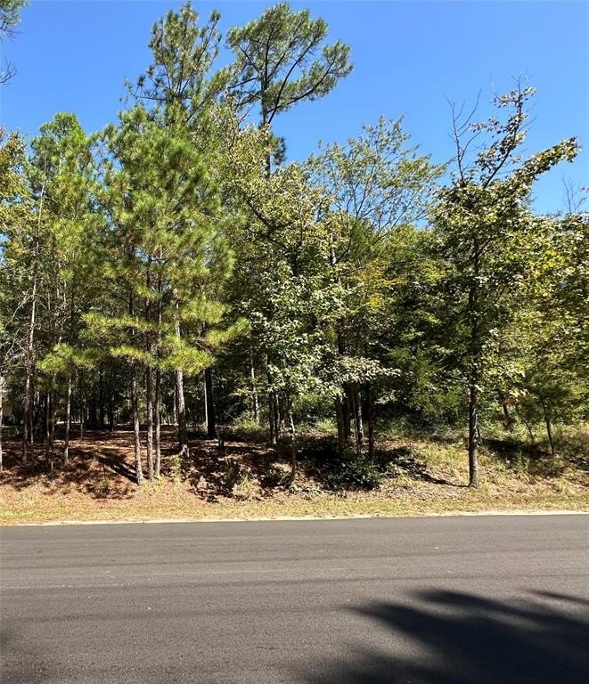 Other - Holly Trail, Holly Lake Ranch, TX