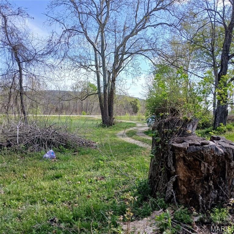 Manufactured Housing 3BR 1BA - 8319 Highway 21, Ironton, MO