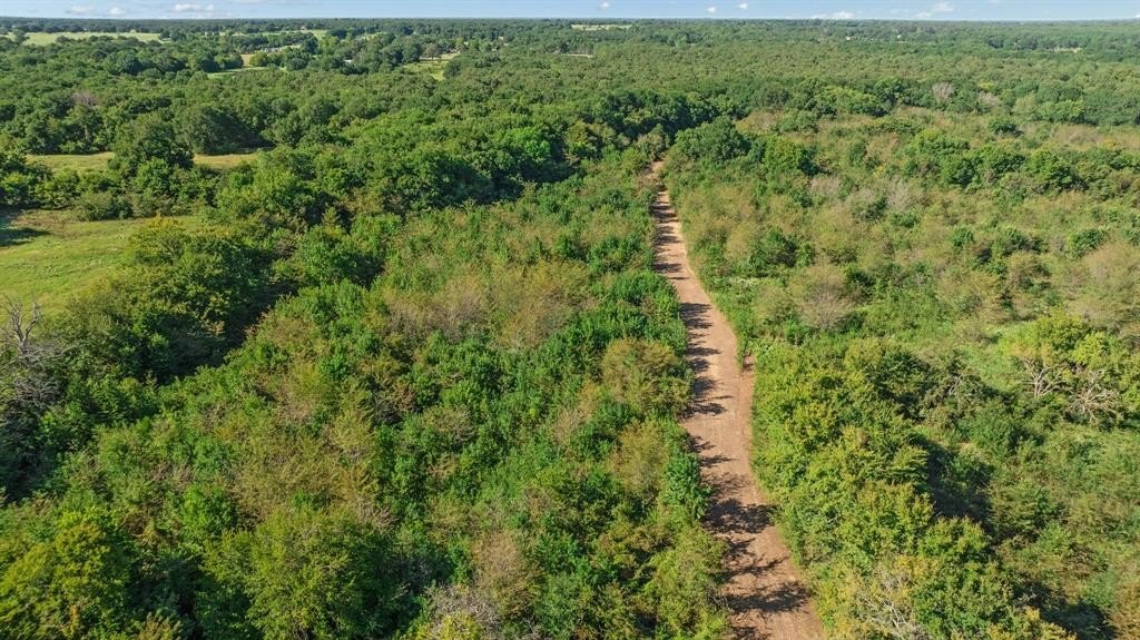 Other - FR 194, Blossom, TX