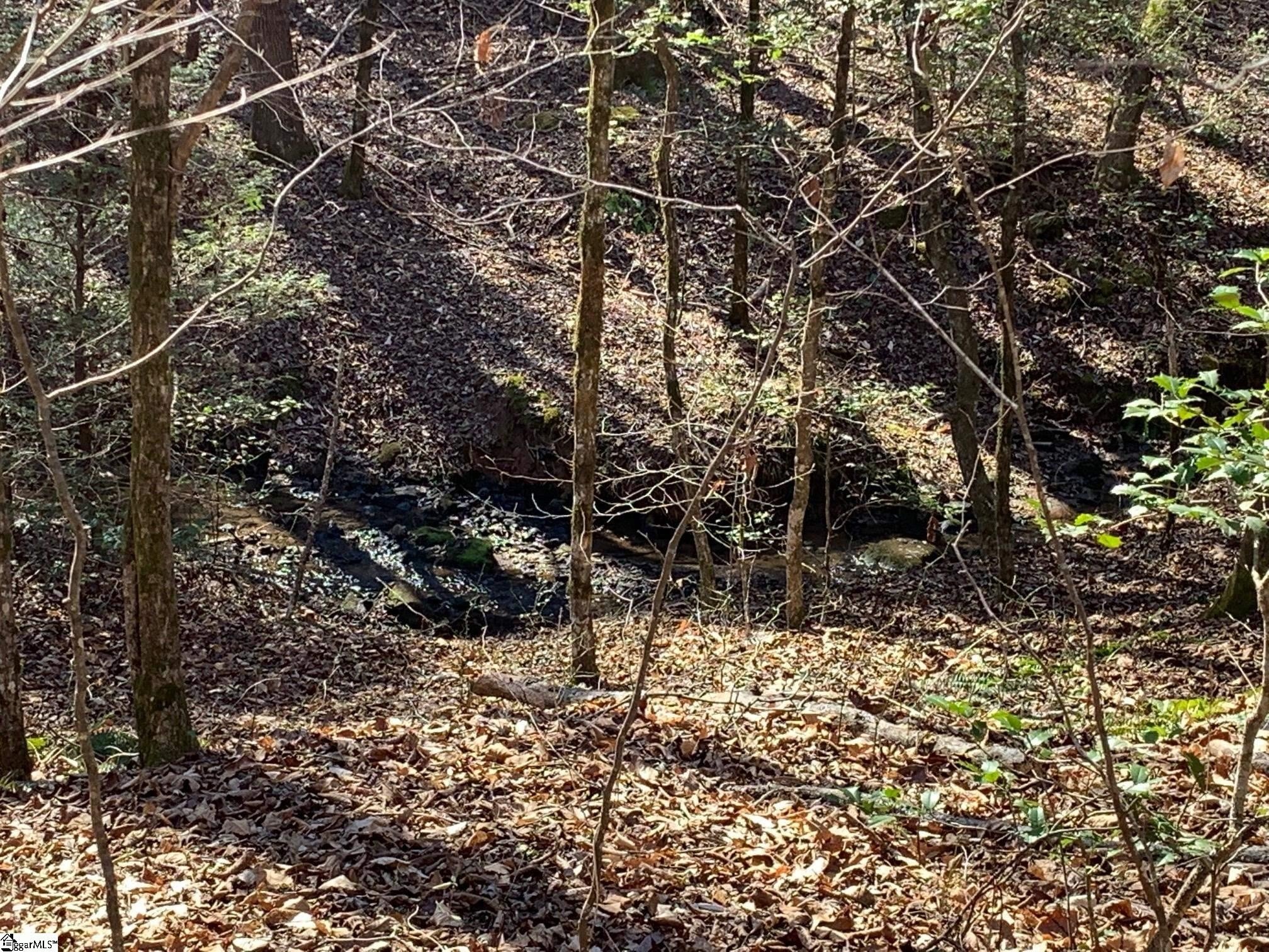 Other - 157 SAW MILL Road, Marietta, SC