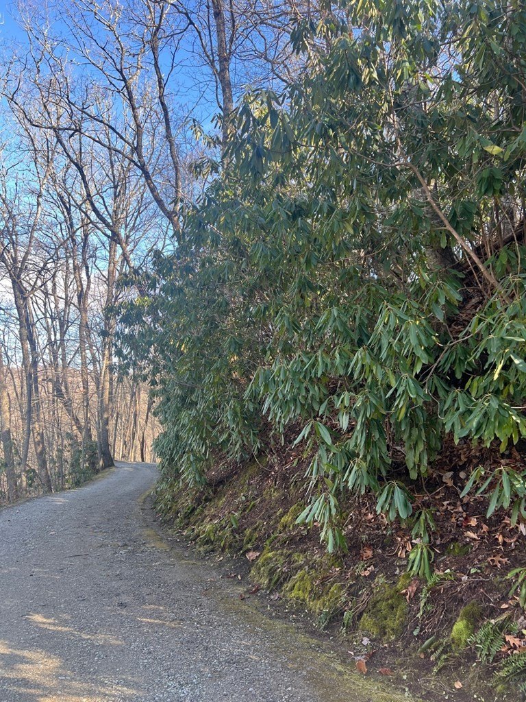Other - Mt. Tabor lot: 2, Topton, NC