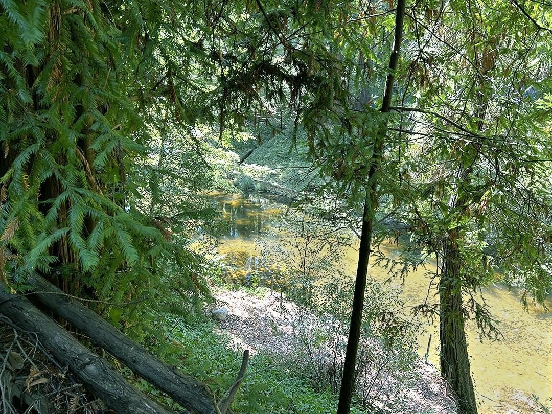 Other - 11085 Riverside RD, BROOKDALE, CA