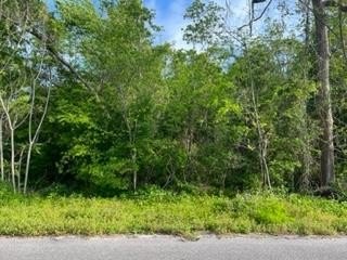 Other - 226 23rd Ave lot: L18&19/Blk 233, Apalachicola, FL