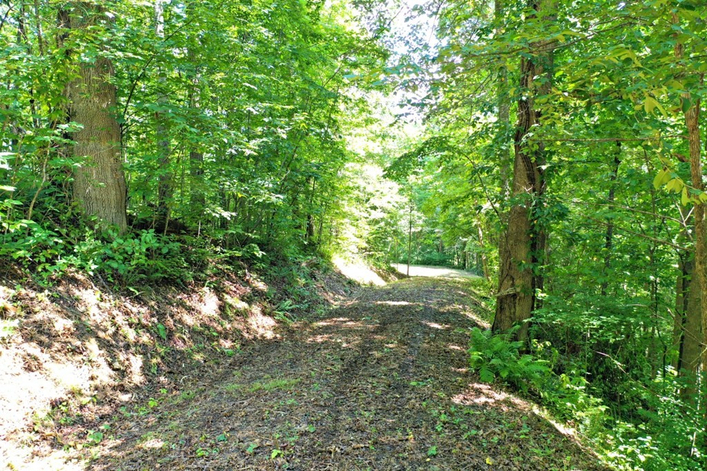 Other - 718 Oat Field Road lot: 2, Tuckasegee, NC