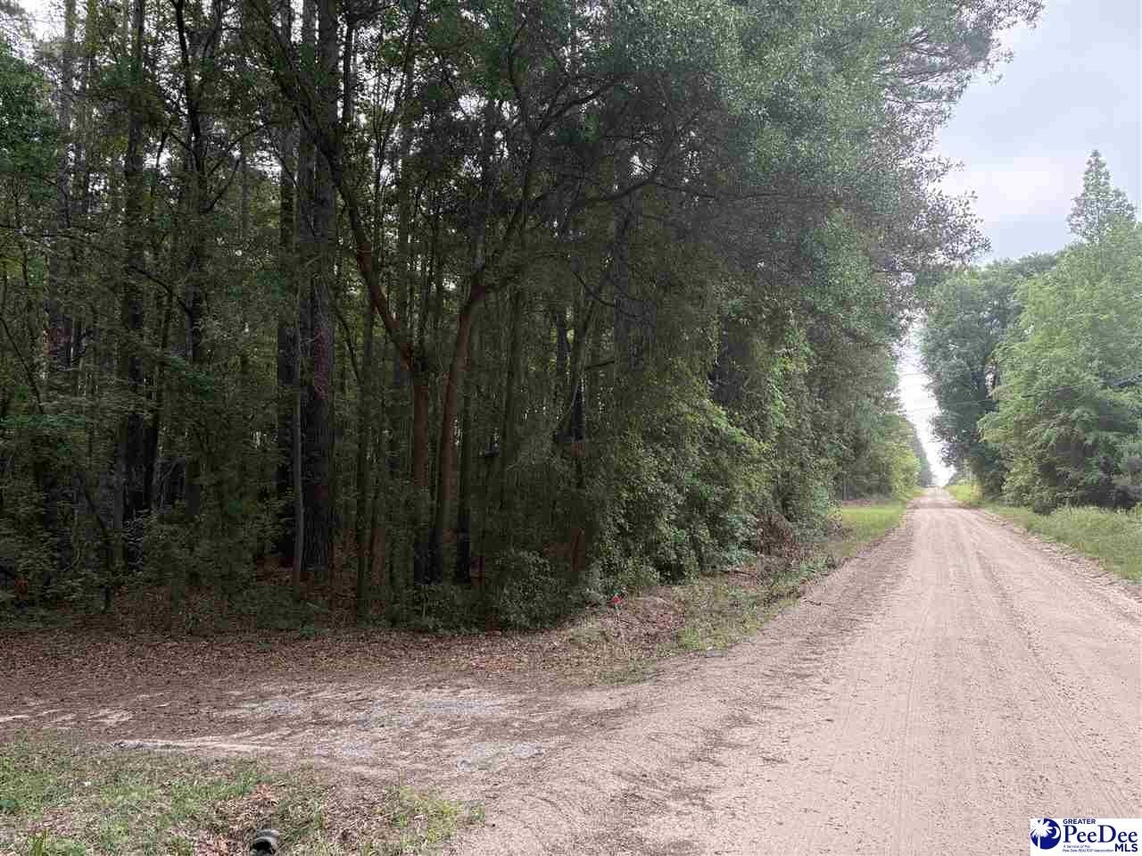Other - TBD Flat Creek Rd, Darlington, SC